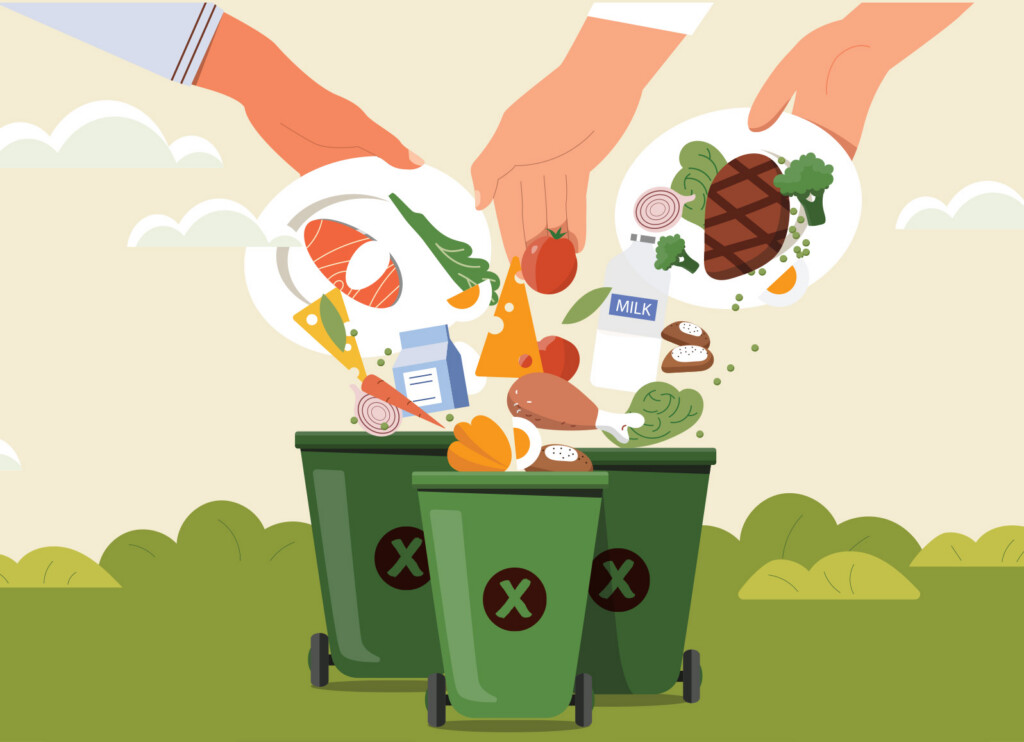 Graphic showing food waste entering bins